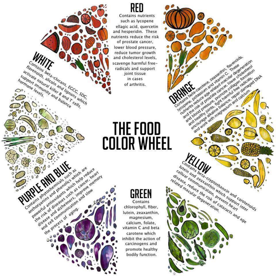 2014-09-26-4-nutrition-rules-that-generally-work-for-everyone-food-wheel